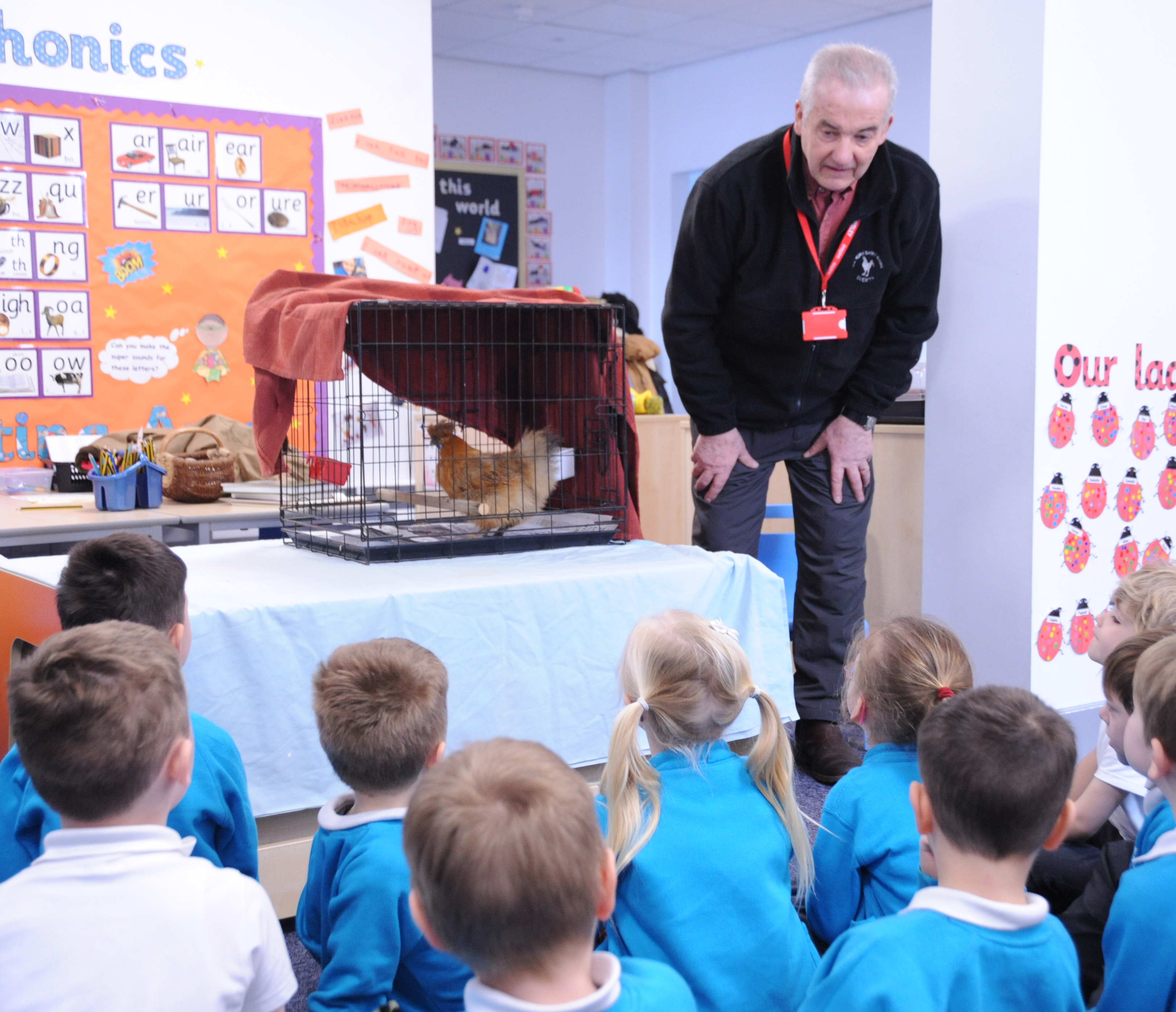 FindOut Friday Chickens (2) Hunsley Primary